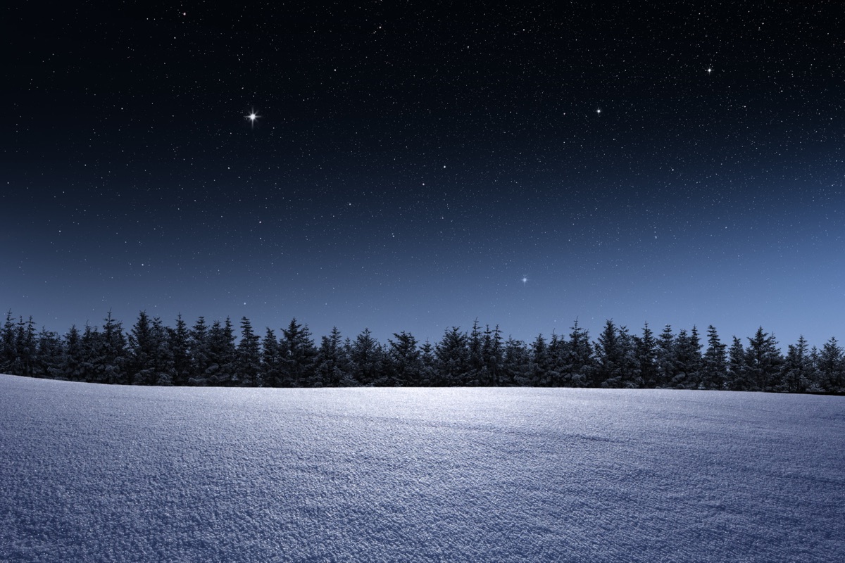 Verschneiter Nadelwald unter dunklem Himmel mit einem einzelnen hellen Stern
